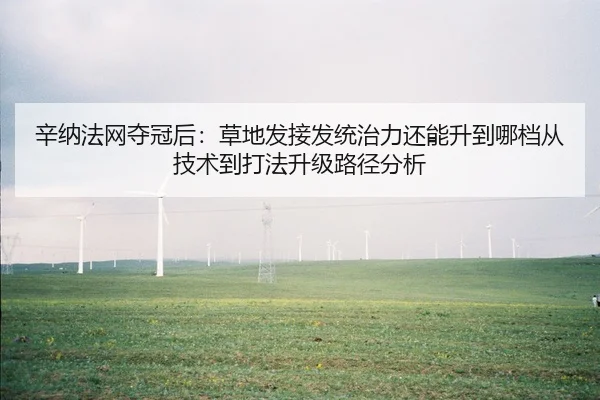 辛纳法网夺冠后：草地发接发统治力还能升到哪档从技术到打法升级路径分析 - jiuyou game