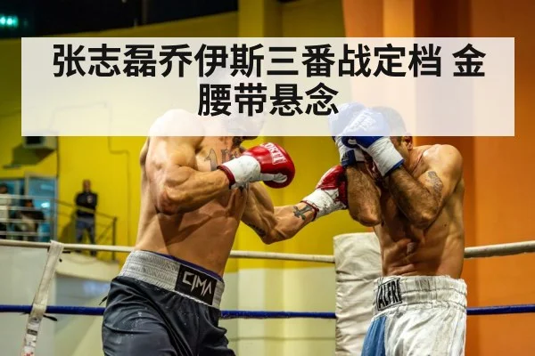 张志磊乔伊斯三番战定档 金腰带悬念