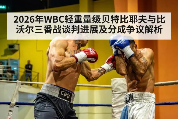 boxing ring light heavyweight fight | nine game