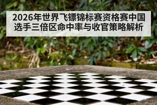2026年世界飞镖锦标赛资格赛中国选手三倍区命中率与收官策略解析